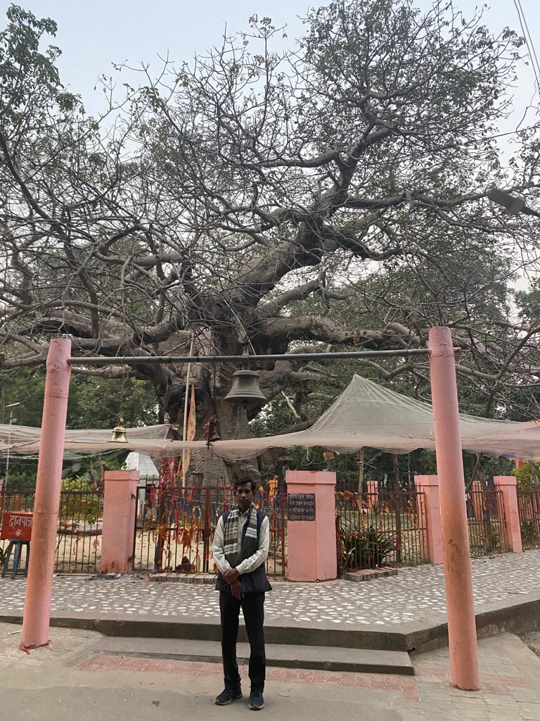 Parijat Tree